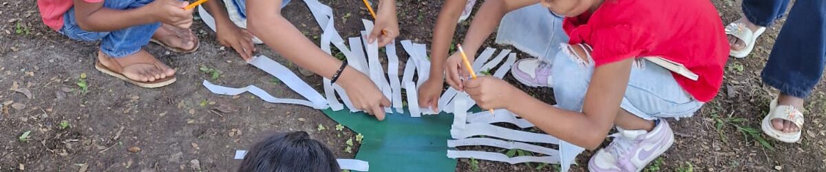 Sembrando Paz: School in the Forest